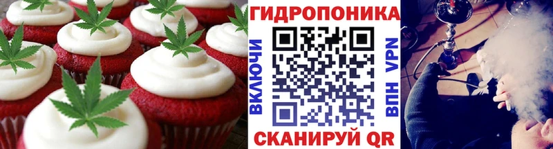 продажа наркотиков  маркетплейс Telegram  Cannafood конопля  Сортавала 