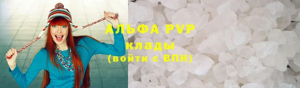 стаф Осинники