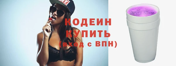 стаф Осинники