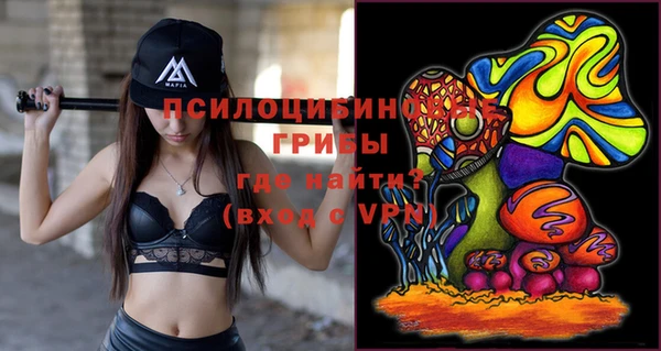 хмурый Балабаново