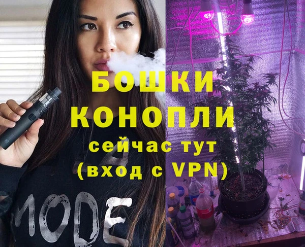 стаф Осинники