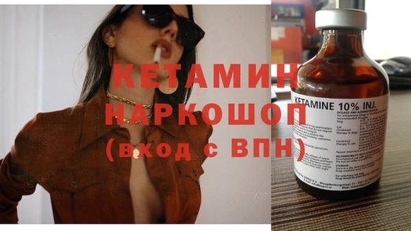 стаф Осинники