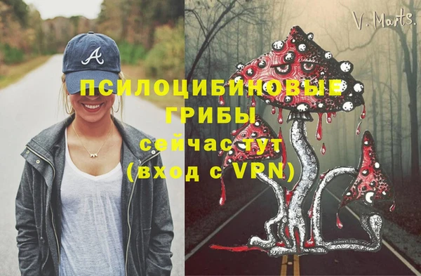 стаф Осинники