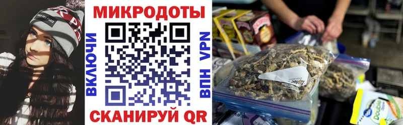 дарк нет как зайти Сортавала Псилоцибиновые грибы Magic Shrooms где можно купить наркотик